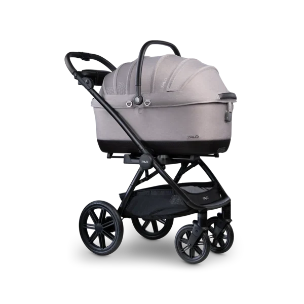 Tavo Maeve iso Pet Car Seat + Roscoe Stroller