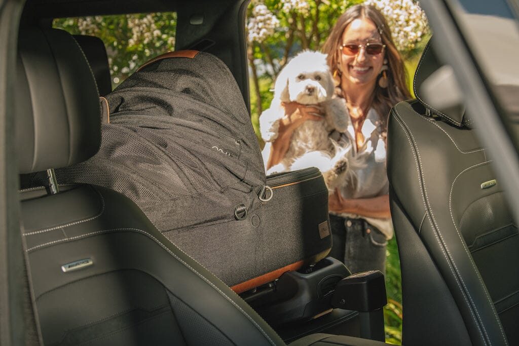 TAVO Pets Maeve + Roscoe 3-in-1 Pet Protection System - MEDIUM Flex