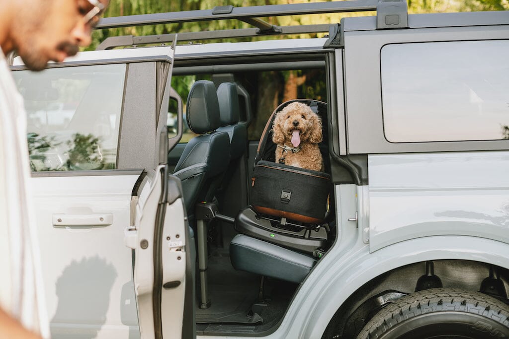TAVO Pets Maeve + Roscoe 3-in-1 Pet Protection System - MEDIUM Rigid
