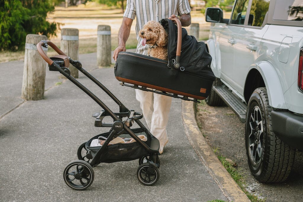 TAVO Pets Maeve + Roscoe 3-in-1 Pet Protection System - MEDIUM Rigid