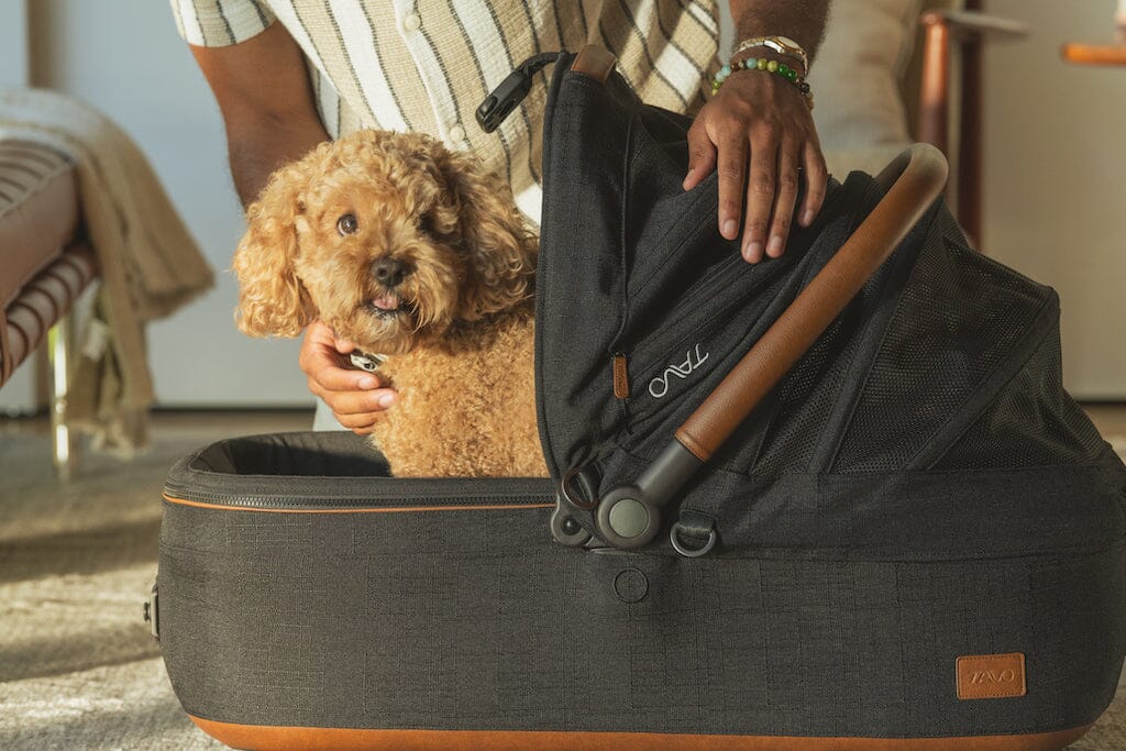 TAVO Pets Maeve + Roscoe 3-in-1 Pet Protection System - MEDIUM Rigid